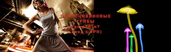 ALPHA PVP Краснослободск