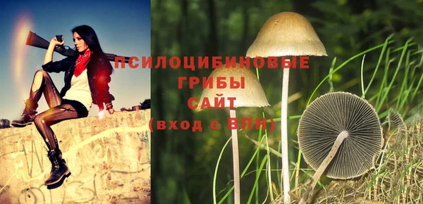 не бодяженный Коряжма