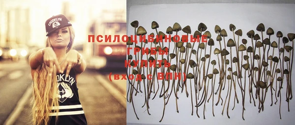 не бодяженный Коряжма
