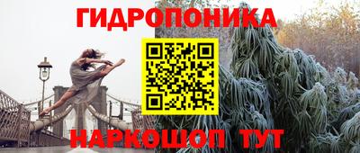 индика Гусиноозёрск