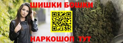 индика Гусиноозёрск