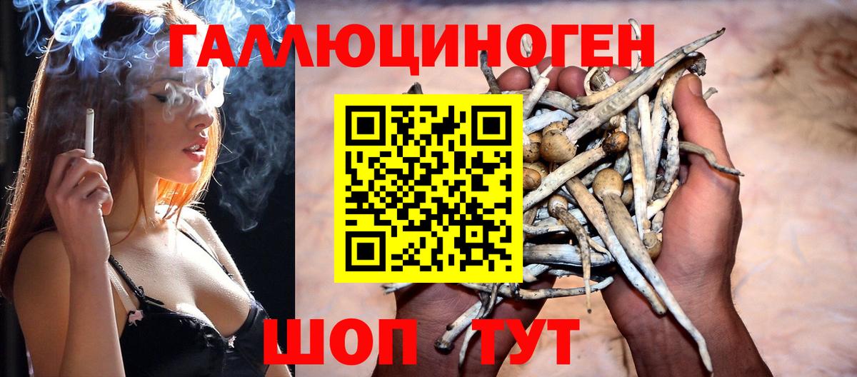 Псилоцибиновые грибы Magic Shrooms Мыски