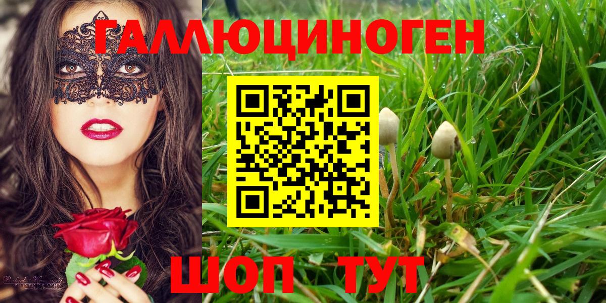 дарнет шоп  Галлюциногенные грибы GOLDEN TEACHER  Мыски  Вход с VPN  Галлюциногенные грибы MAGIC MUSHROOMS 