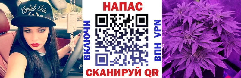 Бошки марихуана конопля  Мыски 