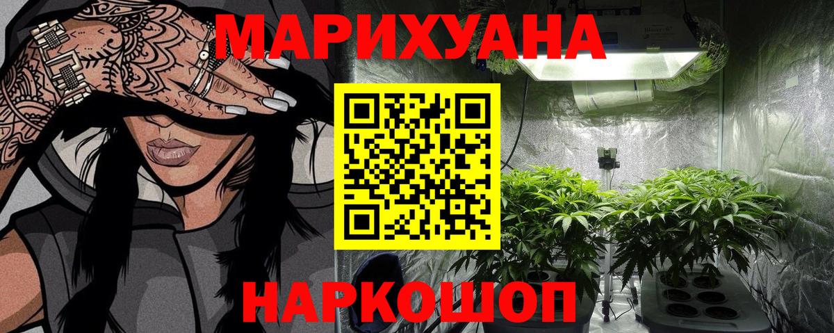 Бошки марихуана конопля  Бошки марихуана план  Вход с VPN  МАРИХУАНА ГИДРОПОН  Мыски 